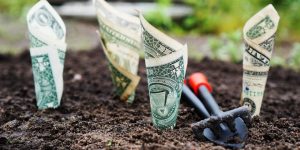 hoeveel geld kun je verdienen met beleggen